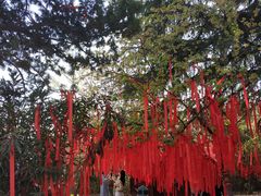 -西安青龙寺遗址景区