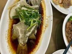 -海晖酒楼·顺德鱼生(荣华店)