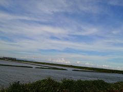 -大湾区中央湿地公园-十九涌