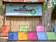 -大象粑粑造纸公园