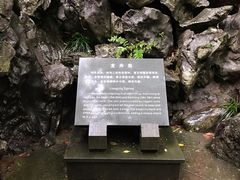 -龙井村