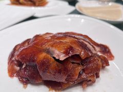 -新雅粤菜馆(南京东路店)