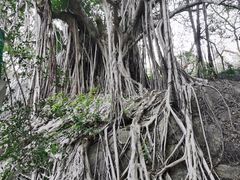 -乌山风景区
