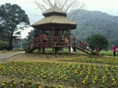 -广州市石门国家森林公园
