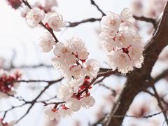 -黑龙江大学