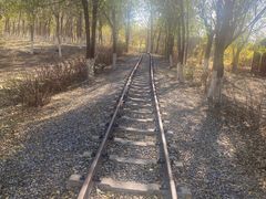 -西青郊野公园