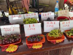 -马陆小张葡萄园农家乐