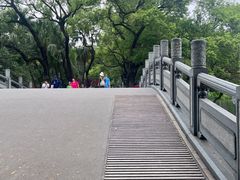 -荔湾湖公园