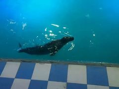 -水上乐园·欢乐世界