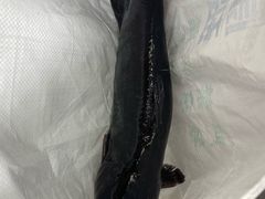 -苗湘食府(十年店)