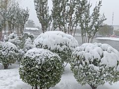 -西海子公园