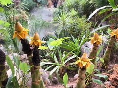 -南通洲际绿博园