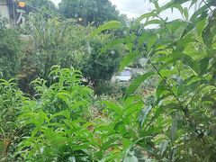-正宗火盆自助烧烤·烤全羊·柴火鸡(龙泉山店)
