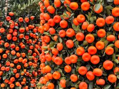 -信基豪泰酒店用品城