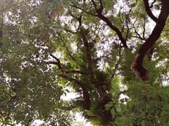 -乌山风景区