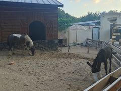 -HERRE·FARM 赫尔露营农场·团建聚会包场