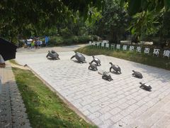 -广东惠东海龟国家级自然保护区