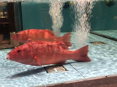 -阿伟海鲜楼·福建菜(延寿店)