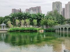 -四海公园(南山区)