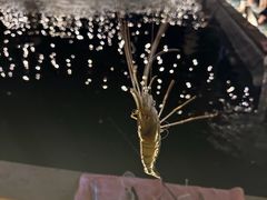 -DGE季风钓虾营地·团建·聚会