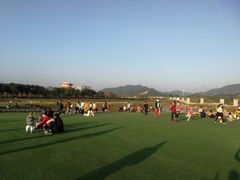 -光明小镇欢乐田园
