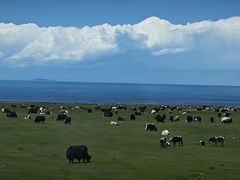 -青海湖国家重点风景名胜区