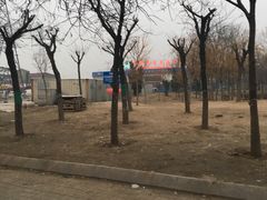 -中环花鸟鱼虫市场
