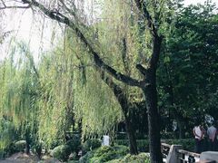 -黄埔古港