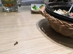 -仙踪林(杭州萧山国际机场店)