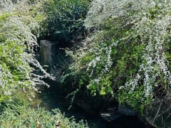 -中国茶叶博物馆(双峰馆区)