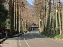 -青城山