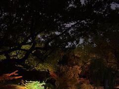-申粤轩酒楼·三十年粤菜经典(丁香花园店)