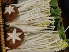 -同仁四季椰子鸡(海岸城天利店)