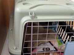 -联合动物医院(光谷诊疗中心)