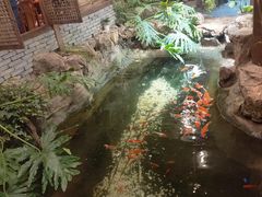 -聚缘堂·海鲜私房菜(松岭路店)