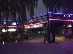 -枫花园汽车电影院(朝阳公园店)
