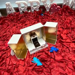 -DR钻戒(杭州星光大道店)