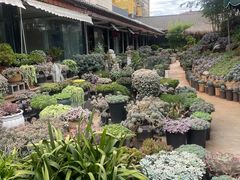 -山菌美食苑(振兴路店)