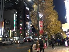 -秋叶原电器街