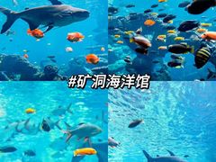 -长鹿旅游休博园