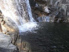 -黑河国家森林公园