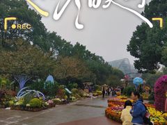 -南山植物园