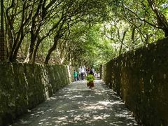 -普陀山风景名胜区-法雨禅寺