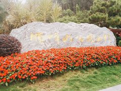 -顺峰山公园