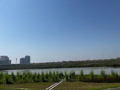 -碧海金沙