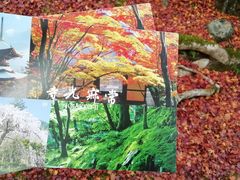 -常寂光寺