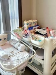-英芬国际月子中心(岛屿度假月子·洲至奢选香岚店)