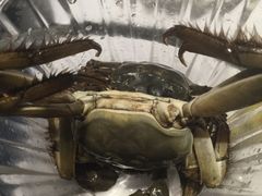 -星伦多自助料理(华润万象城店)