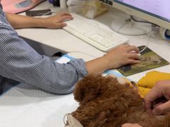 -佳雯宠物医院·皮肤科·内外科(春晓路分院)