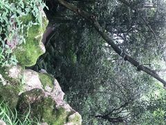 -杭州黄龙洞